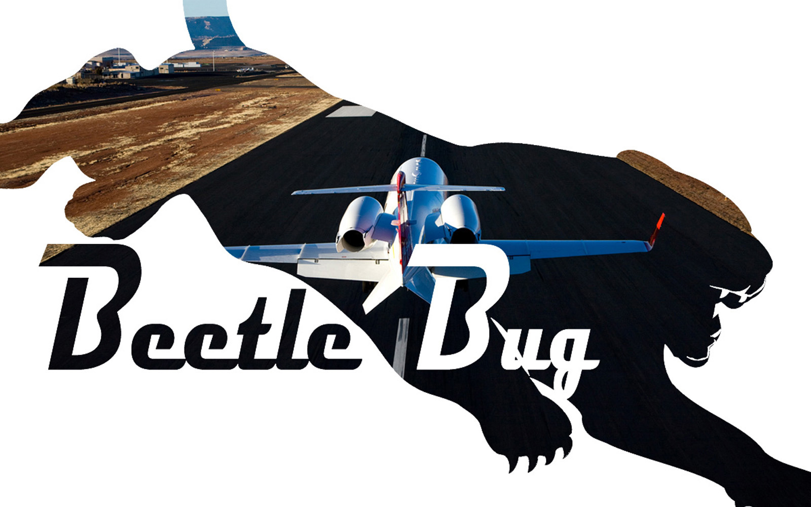 Beetle Bug