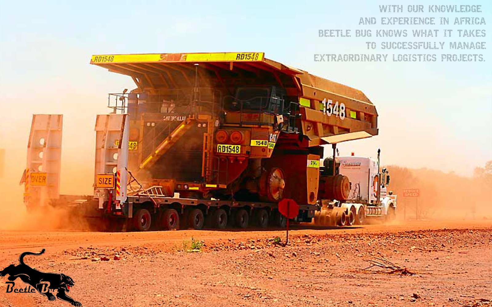 Extraordinary logistic projects